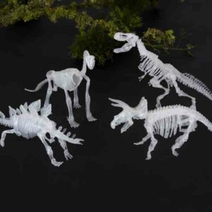 Rex London Dinosaurus Glow In The Dark Skelet Kit