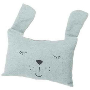 David Fussenegger Kussen Haas