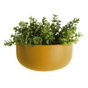 Pt, Wandplantenpot Oval Mat Keramiek