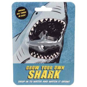 Rex London Laat Je Haai Groeien