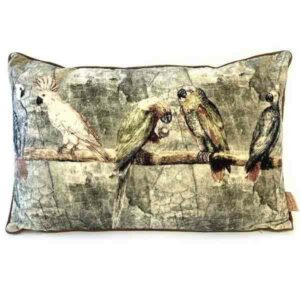 Imbarro Kussen Clara Velours 100% Katoen 40 x 60 cm