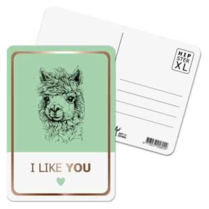 Wenskaarten Hipster XL