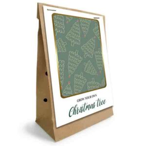 Kweek Je Eigen Kerstboom ( Picea Pungens ) In Zak